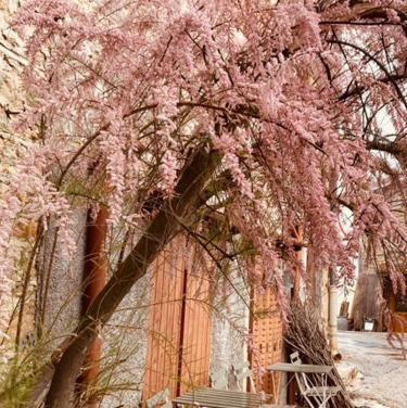Gite Brin De Nature Au Coeur De La Nature Bugiste Ambérieu-en-Bugey Exteriér fotografie