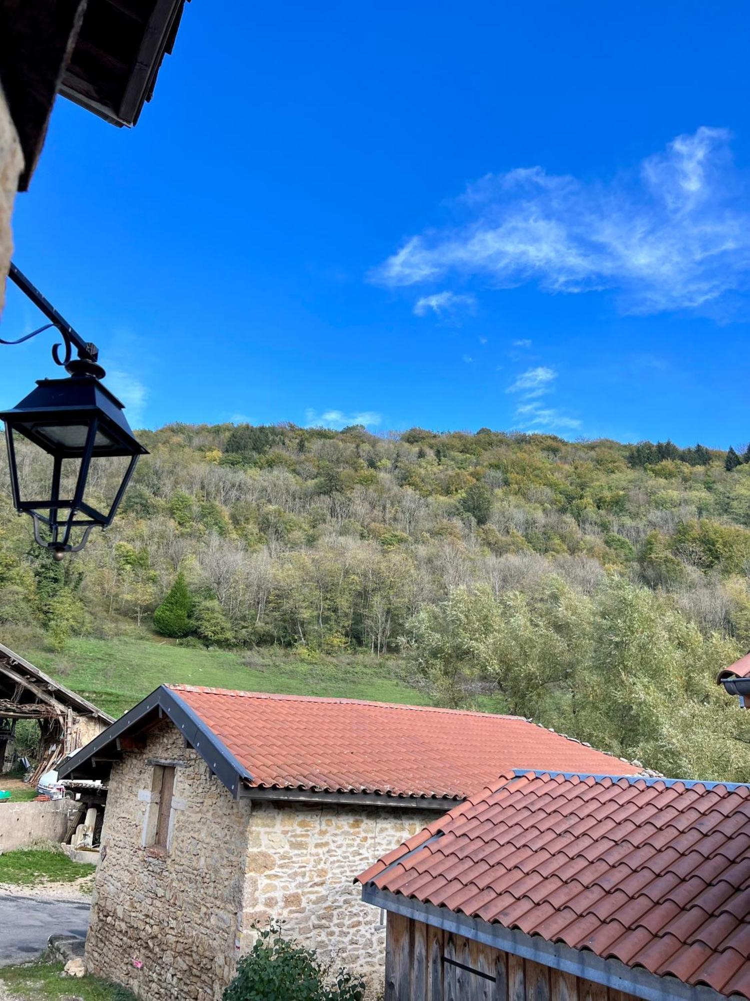 Gite Brin De Nature Au Coeur De La Nature Bugiste Ambérieu-en-Bugey Exteriér fotografie
